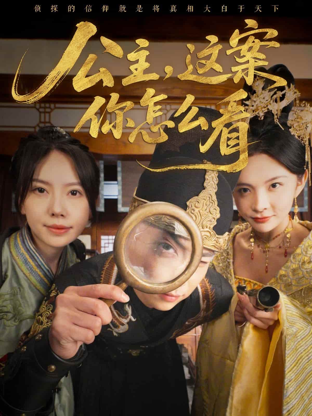 公主,这案你怎么看