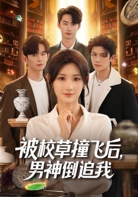 被校草撞飞后，男神倒追我