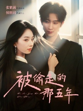 被偷走的那五年