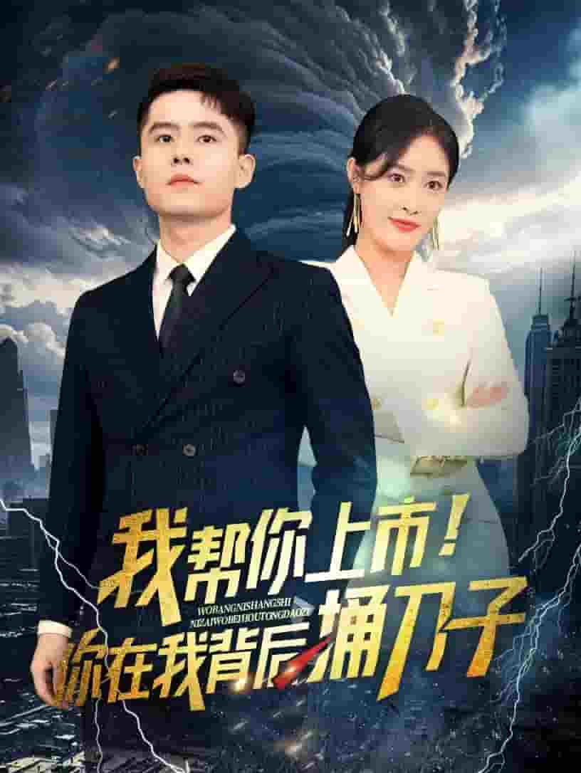 我帮你上市!你在我背后捅刀子