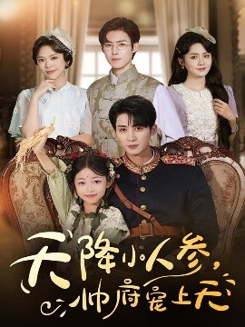 天降小人参帅府宠上天