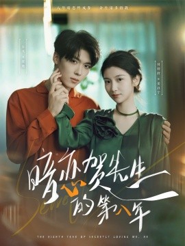 暗恋贺先生的第八年